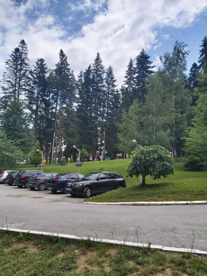 Premium Apartment In Borovets Gardens Complex Kültér fotó