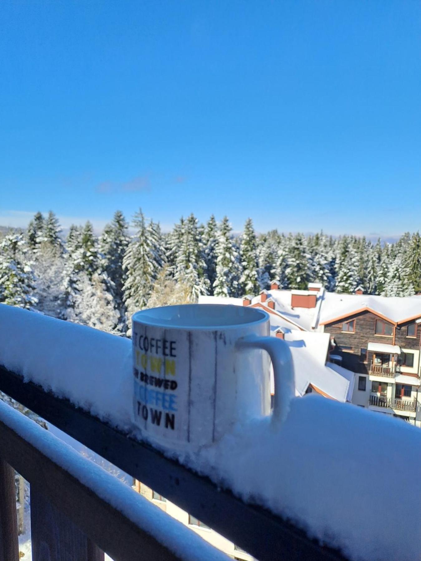 Premium Apartment In Borovets Gardens Complex Kültér fotó